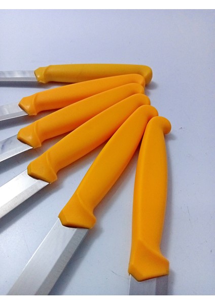 6 Parça El Yapımı Kişiselleştirilebilir Meyve Bıçak Seti ( Renk Çeşitli ) Uzunluk 19 cm fırsatları