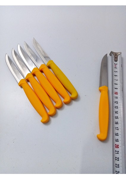 6 Parça El Yapımı Kişiselleştirilebilir Meyve Bıçak Seti ( Renk Çeşitli ) Uzunluk 19 cm indirimleri