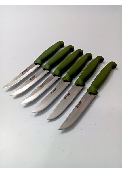 6 Parça El Yapımı Kişiselleştirilebilir Meyve Bıçak Seti ( Renk Çeşitli ) Uzunluk 19 cm fiyatları