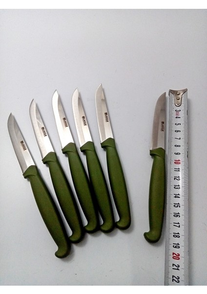 6 Parça El Yapımı Kişiselleştirilebilir Meyve Bıçak Seti ( Renk Çeşitli ) Uzunluk 19 cm indirimleri