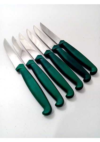 6 Parça El Yapımı Kişiselleştirilebilir Meyve Bıçak Seti ( Renk Çeşitli ) Uzunluk 19 cm