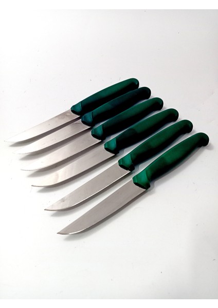 6 Parça El Yapımı Kişiselleştirilebilir Meyve Bıçak Seti ( Renk Çeşitli ) Uzunluk 19 cm fiyatları
