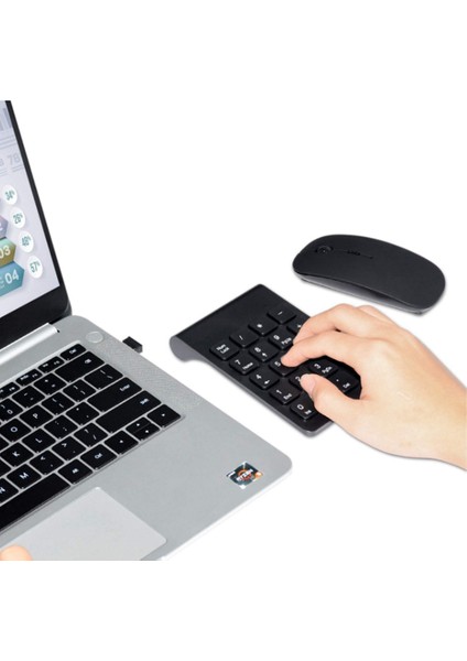 2.4g Kablosuz Mini Dijital Klavye ve Fare Seti 18 Tuşları USB Numarası Sayısal Tuş Takımı Pad Dizüstü Bilgisayar Dizüstü Masaüstü Için Fare (Yurt Dışından) indirimleri
