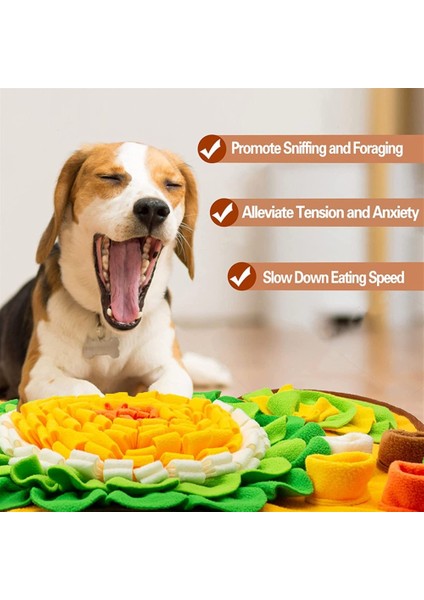 Evcil Kedi ve Köpek Koklama Pedi Yıkanabilir (Yurt Dışından)