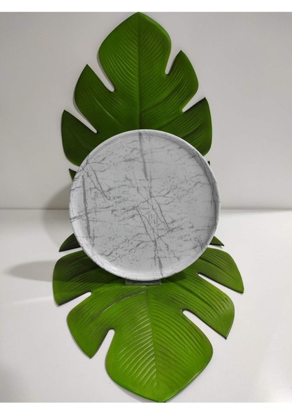 Melamin Kırılmaz Serisi Yuvarlak Silver (Çap :28CM)