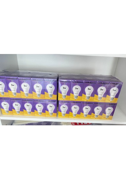 Lumınoso 9W LED Ampul