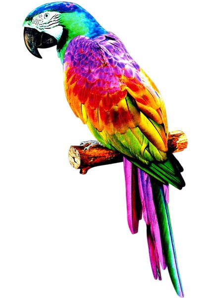 Papağ Figürler Minyatür Dıy Çim Düğün Süsleme I A Için (Yurt Dışından) modelleri