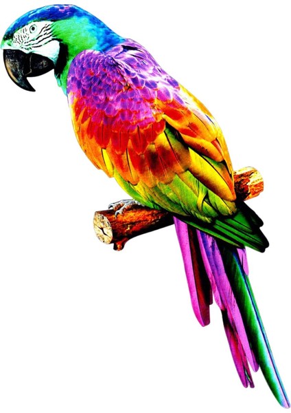 Papağ Figürler Minyatür Dıy Çim Düğün Süsleme I A Için (Yurt Dışından) fırsatları