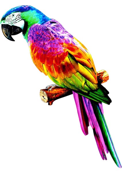 Papağ Figürler Minyatür Dıy Çim Düğün Süsleme I A Için (Yurt Dışından) indirimleri