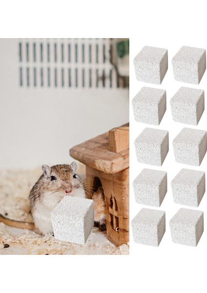 10 Taş Kare Hamster Taş Pet Malzemeleri Çiğ Oyuncağı, Kemirgen Taş cm (Yurt Dışından)