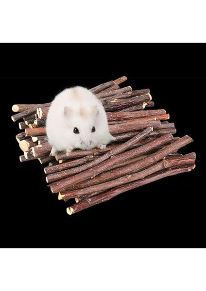 Hamster Çiğneme Çubukları Molar Kemirgen Hayvanlar Temizleme Aksesuarları Sıçan Oyuncaklar 1000G-8-10CM Küçük (Yurt Dışından)