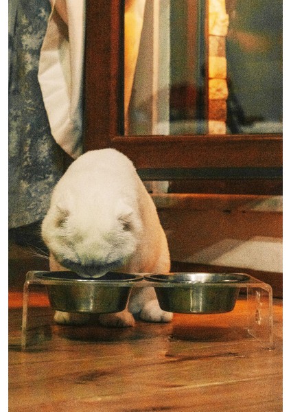 Kedi ve Köpek Dekoratif 2'li Seramik Pleksi Mama & Su Kabı+ Paspas modelleri