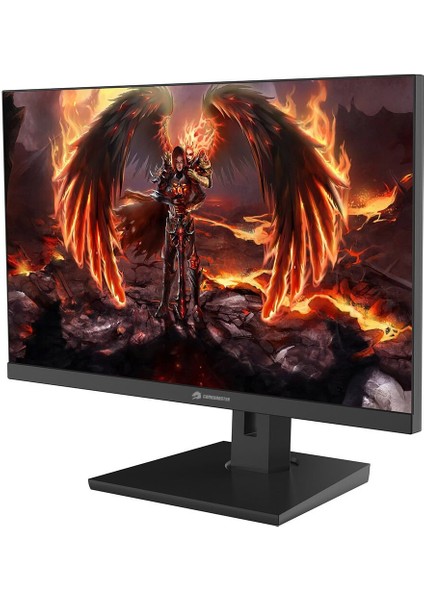 GB-2419FF 23.8" 180Hz 1ms SS IPS FHD FreeSync, G-Sync HDMI*1+DP*1Flat Gaming Monitör