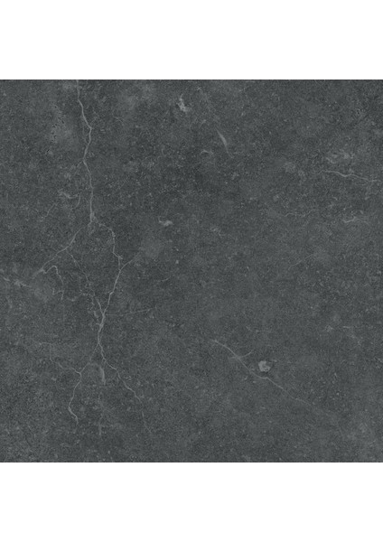 60X60 Set6.0 Quarzite Antrasit R10A 7r K950791R0001VTE0