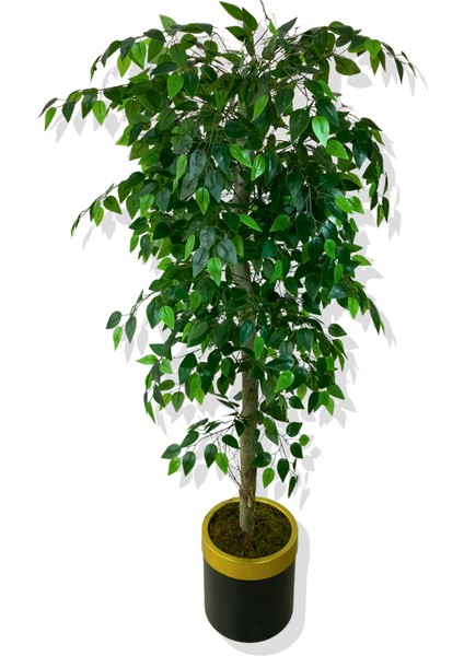 Benjamin 160 cm Yapay Ağaç 30X25 Gold Kemerli Saksı