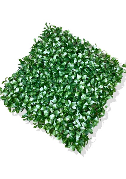 Yapay Beyaz Detaylı Limon Yaprağı Bitki Duvar Kaplama 50X50 cm modelleri