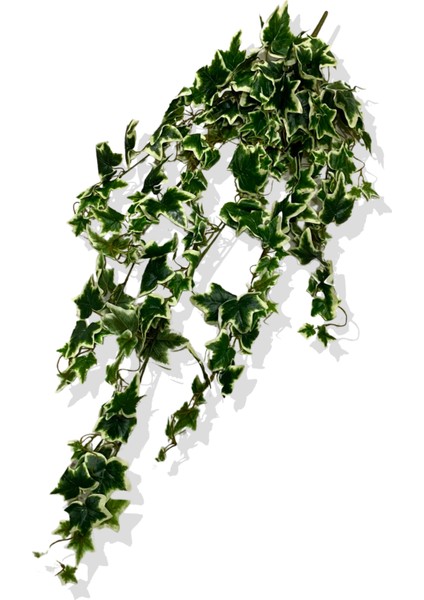 Yapay Hedera Helix Sarmaşık 120 cm 9 Dal