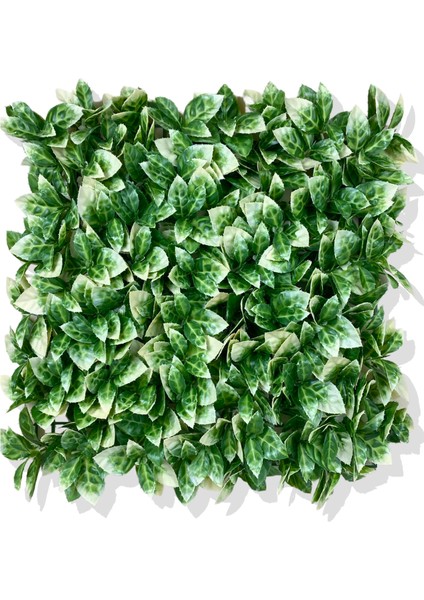 Yapay Beyaz Detaylı Portakal Yaprağı Bitki Duvar Kaplama 50X50 cm