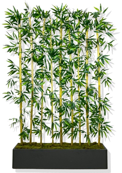 Bambu Seperatör 200 cm 9 Adet Bambu 100 cm Antrasit Saksı