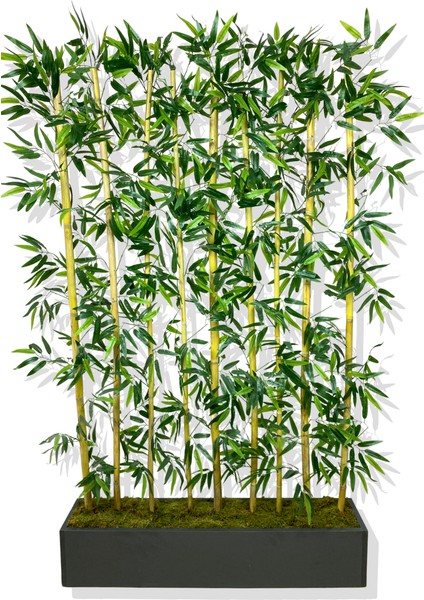 Bambu Seperatör 200 cm 9 Adet Bambu 100 cm Antrasit Saksı