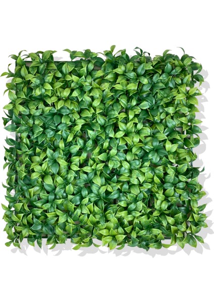 Yapay Açık Yeşil Limon Yaprağı Bitki Duvar Kaplama 50X50 cm