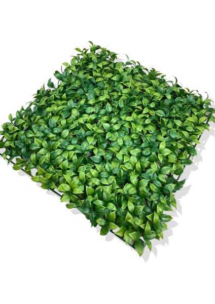Yapay Açık Yeşil Limon Yaprağı Bitki Duvar Kaplama 50X50 cm modelleri