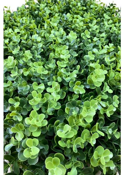 Yapay Okaliptus Dolgun Bitki Duvar Kaplama 50X50 cm Yeşil fırsatları