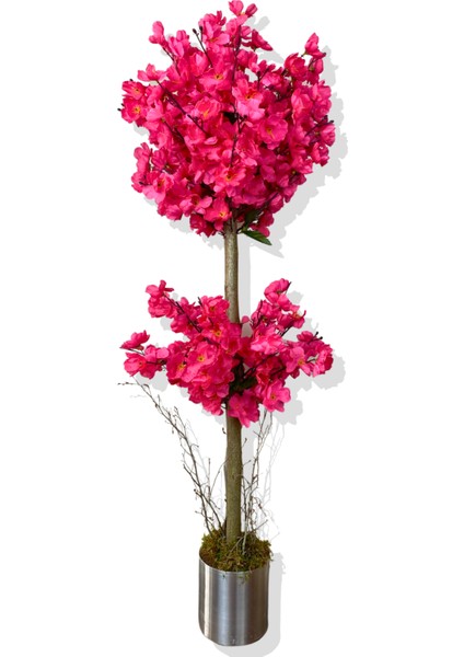 Fuşya Bahar Dalı 100 cm 12X12 Metal Saksı
