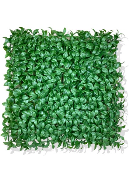 Yapay Yeşil Limon Yaprağı Bitki Duvar Kaplama 50X50 cm
