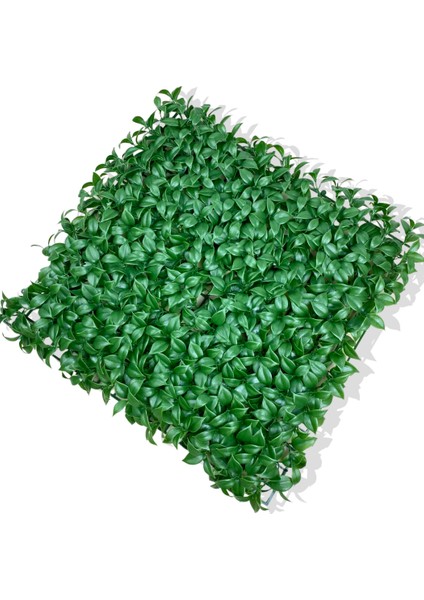 Yapay Yeşil Limon Yaprağı Bitki Duvar Kaplama 50X50 cm modelleri
