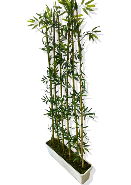 Bambu Seperatör 175 cm 6 Adet Bambu 72 cm Beyaz Saksı fiyatları