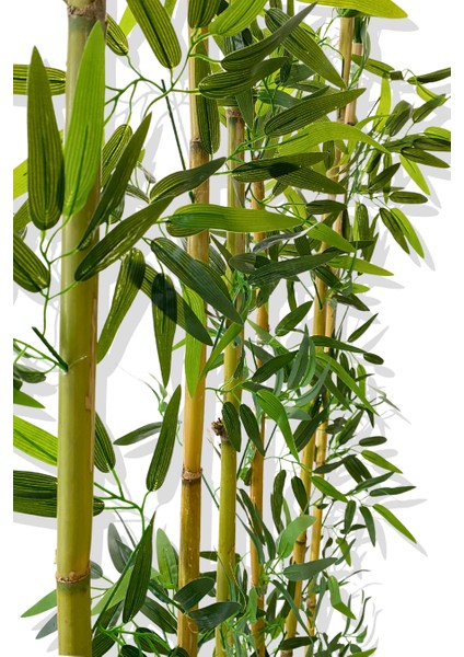 Bambu Seperatör 175 cm 6 Adet Bambu 72 cm Beyaz Saksı fırsatları
