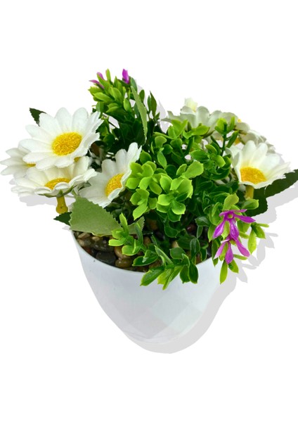 Yapay Mini Saksıda Mor Mineli Papatya 15 cm Beyaz Saksı