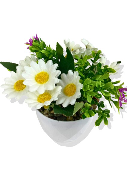 Yapay Mini Saksıda Mor Mineli Papatya 15 cm Beyaz Saksı modelleri