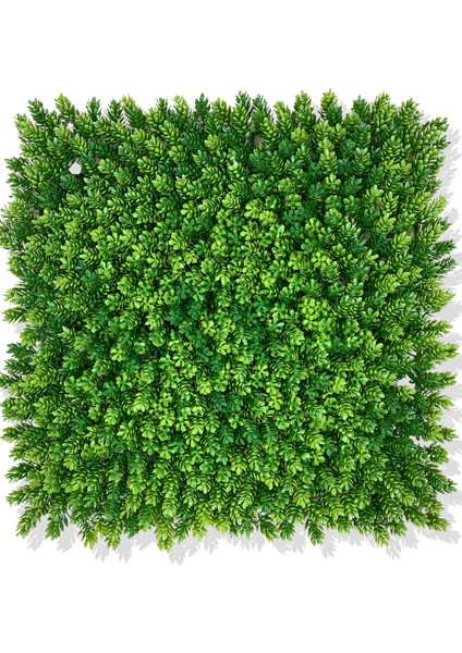 Yapay Çamdalı Bitki Duvar Kaplama 50X50 cm Açık Yeşil