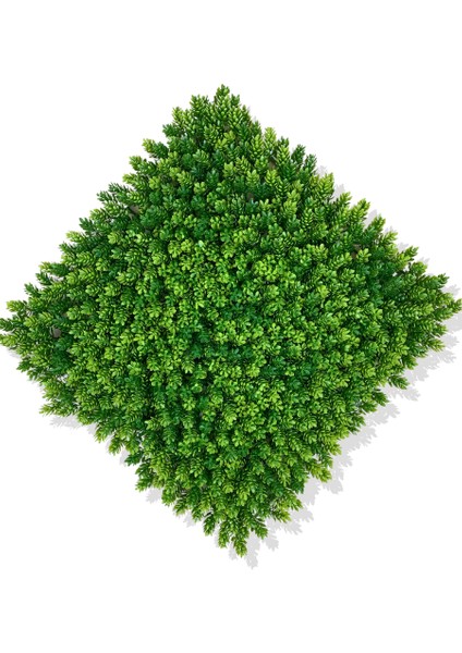 Yapay Çamdalı Bitki Duvar Kaplama 50X50 cm Açık Yeşil fiyatları