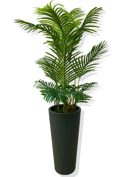 Areka 150 cm 12 Yaprak Yapay Ağaç 56X30X20 Antrasit Kumsal Saksı