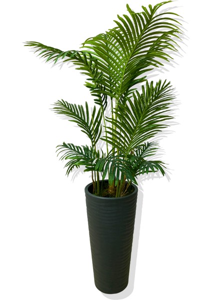 Areka 150 cm 12 Yaprak Yapay Ağaç 56X30X20 Antrasit Kumsal Saksı fiyatları