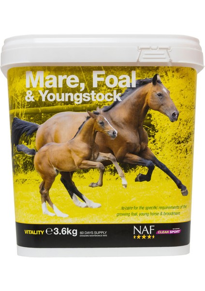 Mare Foal Youngstock 3.6 kg