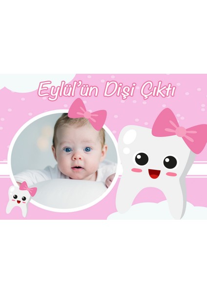 Diş Buğdayı Kız Bebek Magnet HDTS190 16 Adet