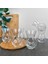 Girist Ayda Altılı Modern Çay Bardağı 3