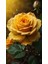 Renkli Baskılı Sayılarla Boyama Hobi Seti (Çerçeveli) 40X50 Cm: Sarı Gül 1