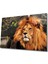 Aslan 3 Cam Tablo 1