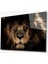 Aslan Hayvan Cam Tablo 4mm Dayanıklı Temperli Cam 1
