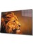 Aslan Hayvan Cam Tablo 4mm Dayanıklı Temperli Cam 1
