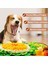 Evcil Kedi ve Köpek Koklama Pedi Yıkanabilir (Yurt Dışından) 3