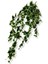 Yapay Hedera Helix Sarmaşık 120 cm 9 Dal 1