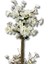 Beyaz Bahar Dalı 100 cm 12X12 Metal Saksı 3