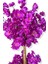 Mor Bahar Dalı 100 cm 12X12 Metal Saksı 3