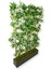 Bambu Seperatör 180 cm 9 Adet Bambu 100 cm Antrasit Saksı 3